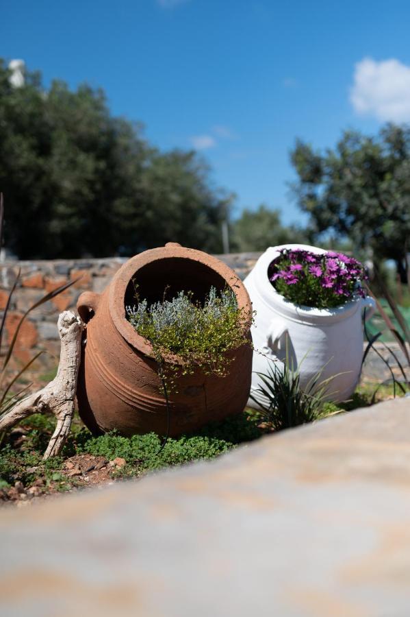 Elounda Dream House Villa Bagian luar foto