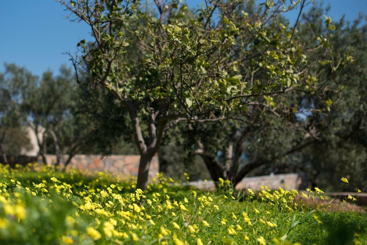 Elounda Dream House Villa Bagian luar foto